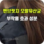 엔브릿지 모발 유산균 효과 성분 부작용