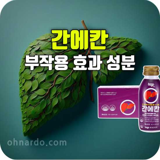 간에칸 부작용 효능 성분 복용 방법