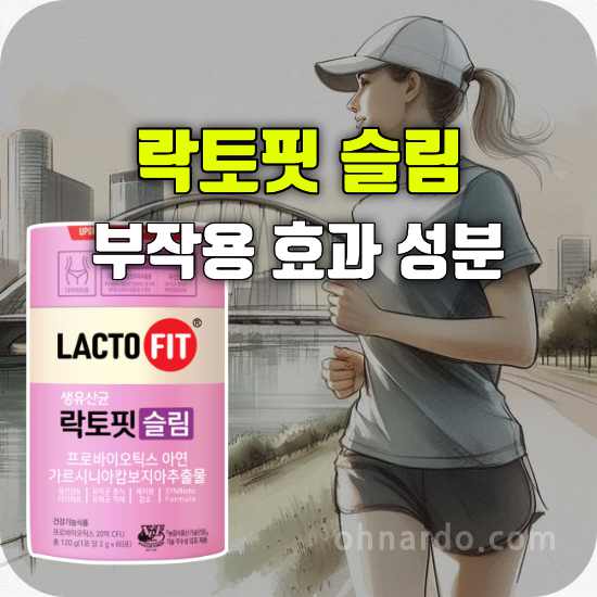 락토핏 슬림 부작용 효과 성분 복용법
