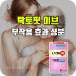 락토핏 이브 효능 부작용 성분