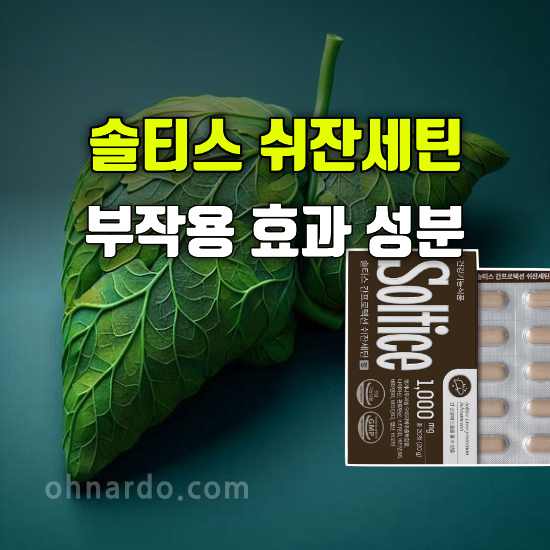 솔티스 쉬잔세틴 부작용 효능 성분