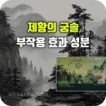 제황의 궁솔 효능 부작용 성분 적송유